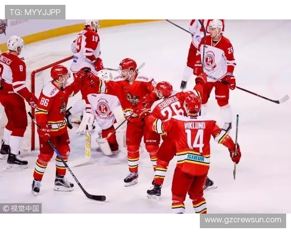 武汉街舞队区域防守分析与表现评估探讨